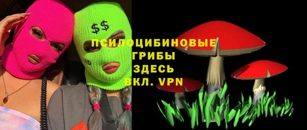 PSILOCYBIN Навашино