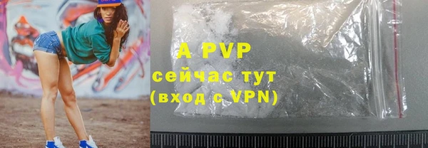 ГАЛЛЮЦИНОГЕННЫЕ ГРИБЫ Михайловка