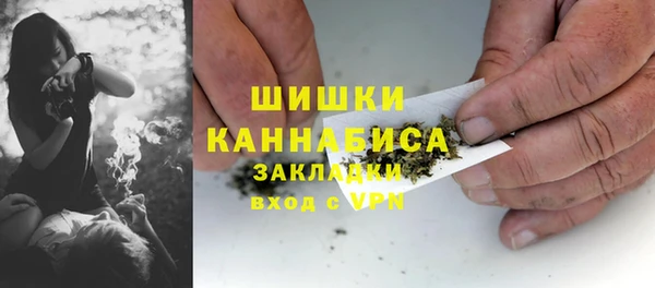 PSILOCYBIN Навашино